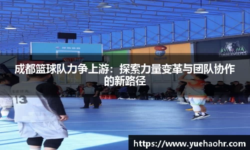 成都篮球队力争上游：探索力量变革与团队协作的新路径